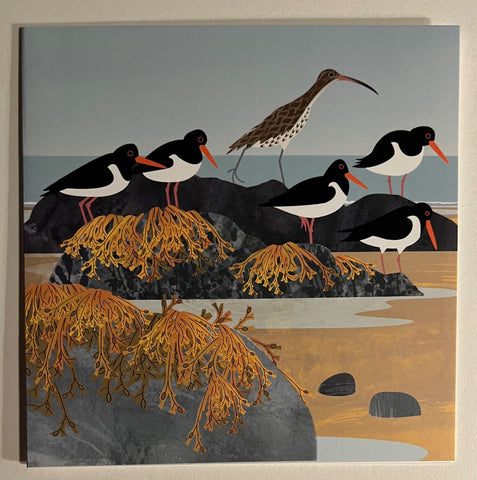 Curlew and Oystercatchers