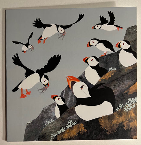 Puffin Colony