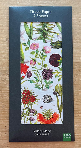 Floral Manuscript - Tissue Paper