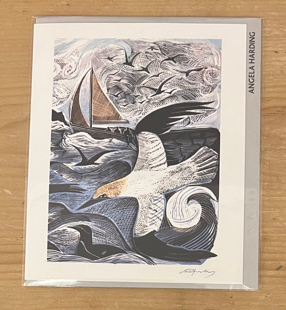 Gannets at Rathlin Island