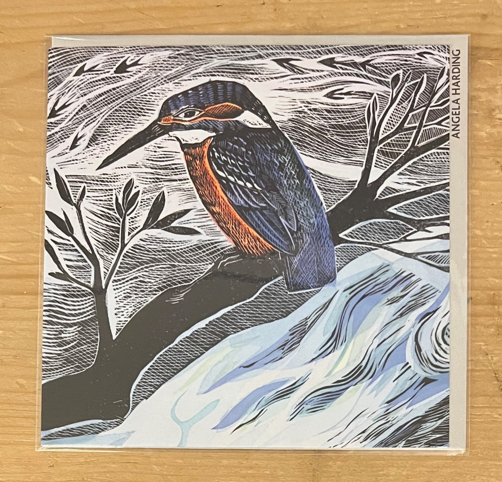 Summer Kingfisher