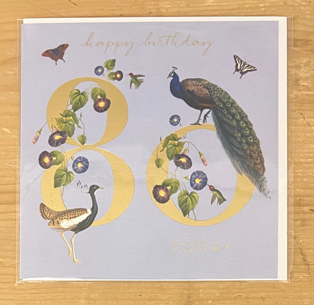 80 - Common Peafowl and Lesser Florican