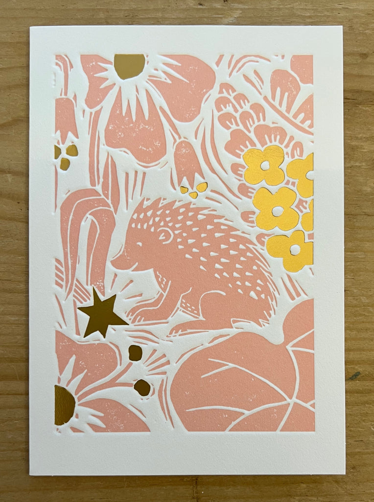 Hedgehog & Star