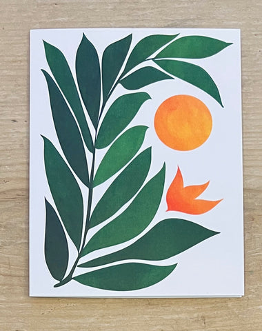 Tropical Forest Sunset