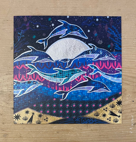 Dolphin Symphony