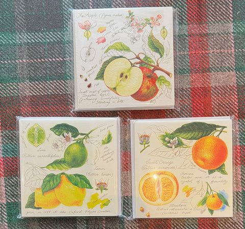 Notecards - Fruit