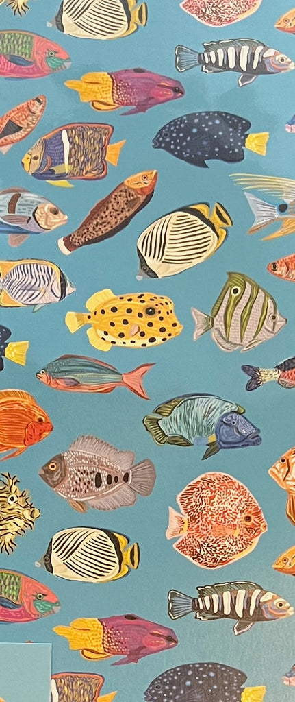 Tropical Fish Gift Wrap
