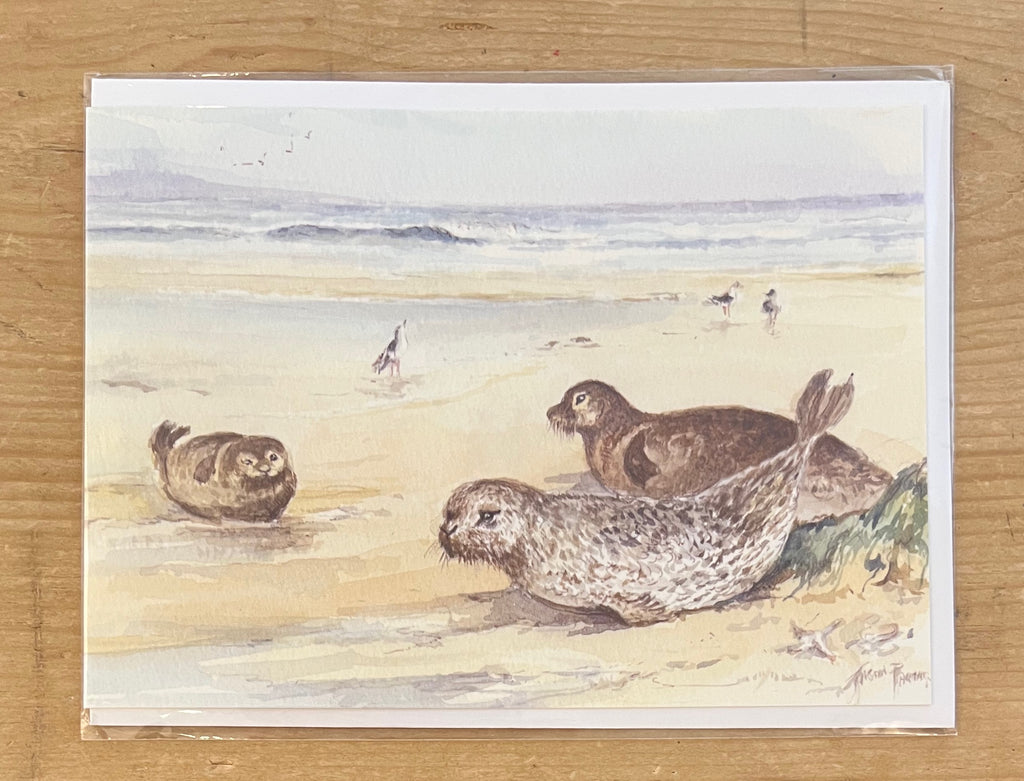 East Coast Seals