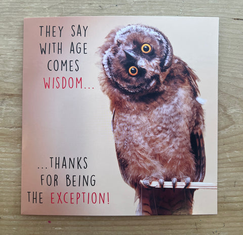 The Exception - Owl