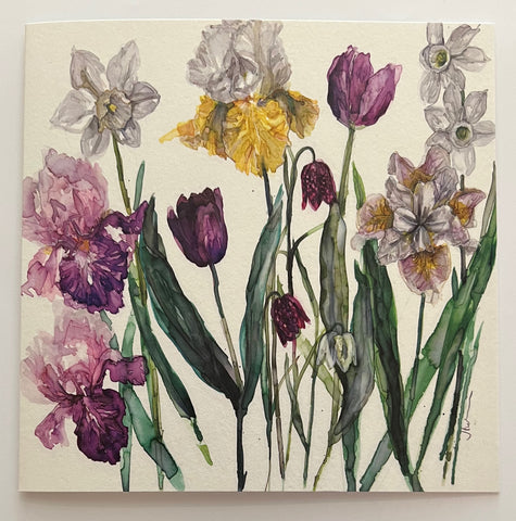 Snakeshed, Irisis, Frisillaries + Narcissi