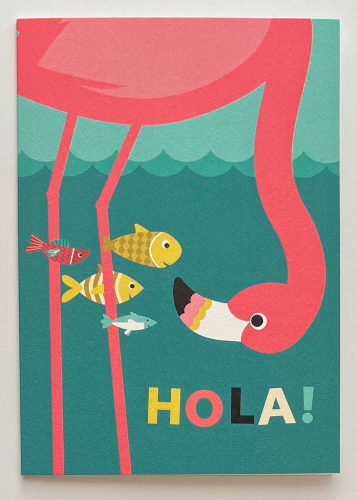 Hola!