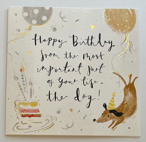 From the Dog