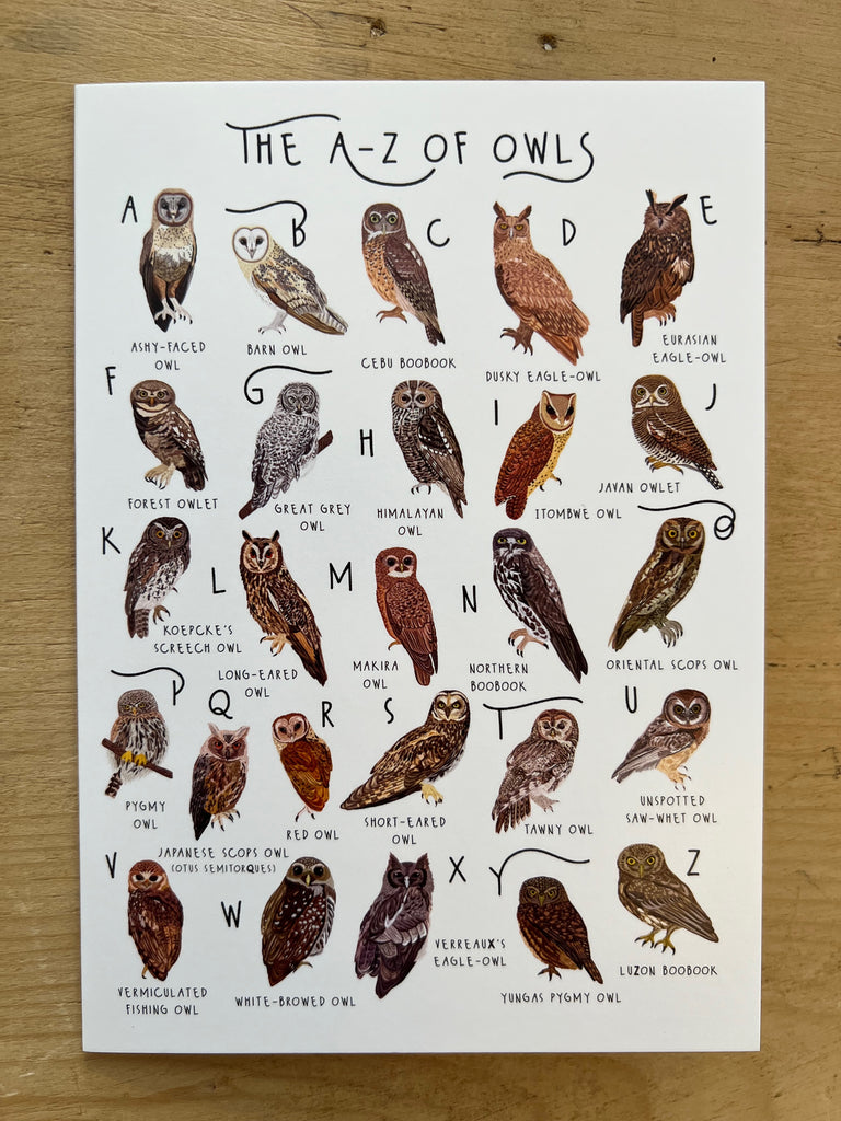 A-Z of Owls