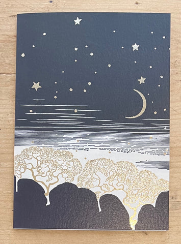 Moon Rise