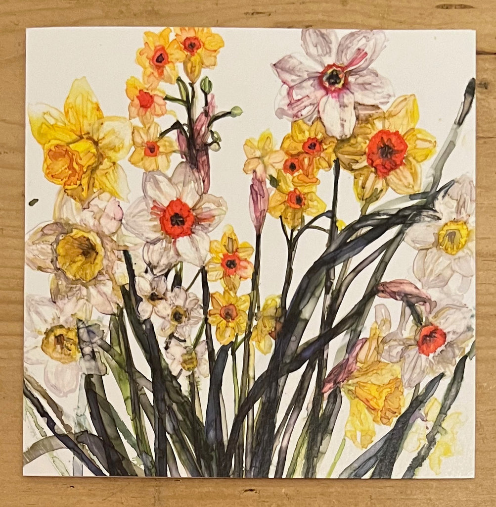 Daffodils