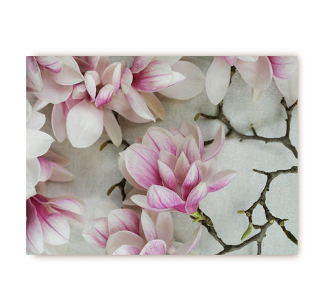 White & Pink Flower Postcard