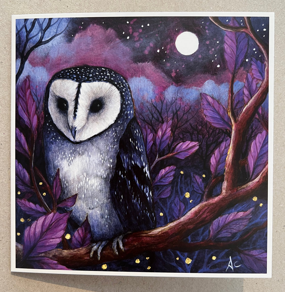 Midnight - Owl