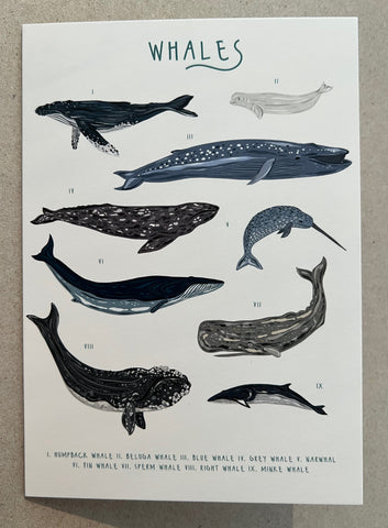 Whales