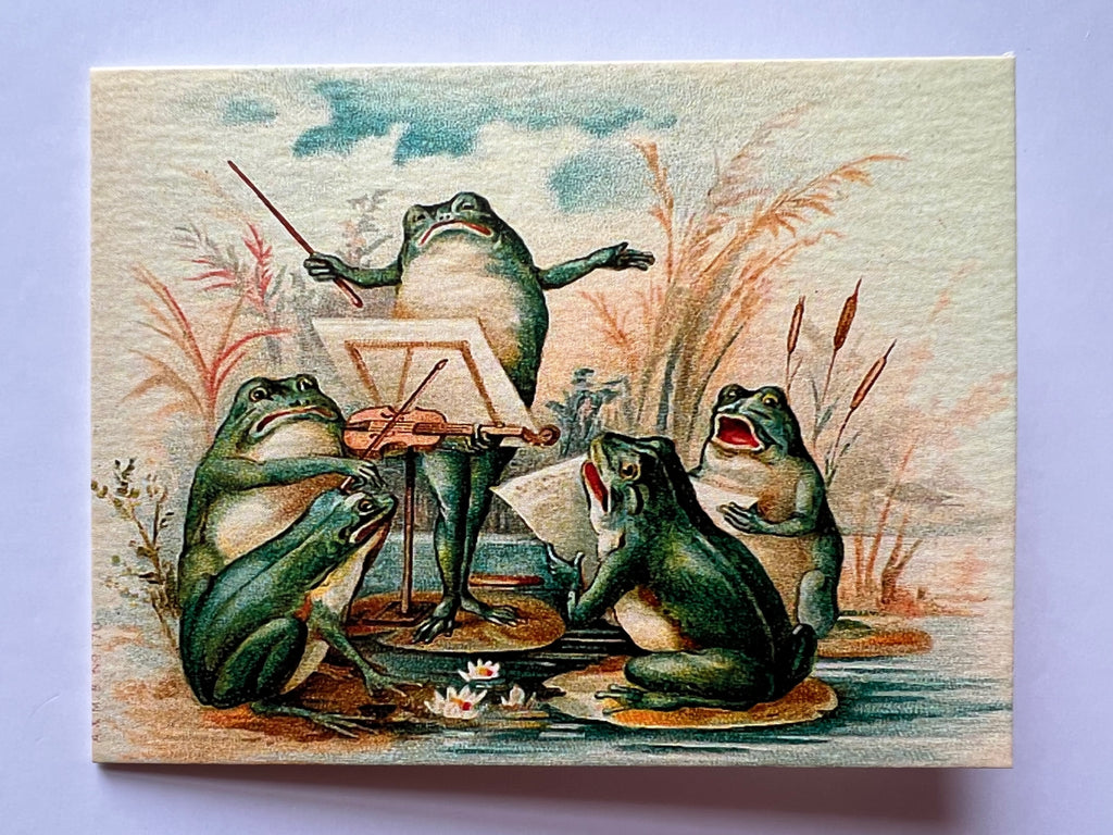 The Frog Chorus