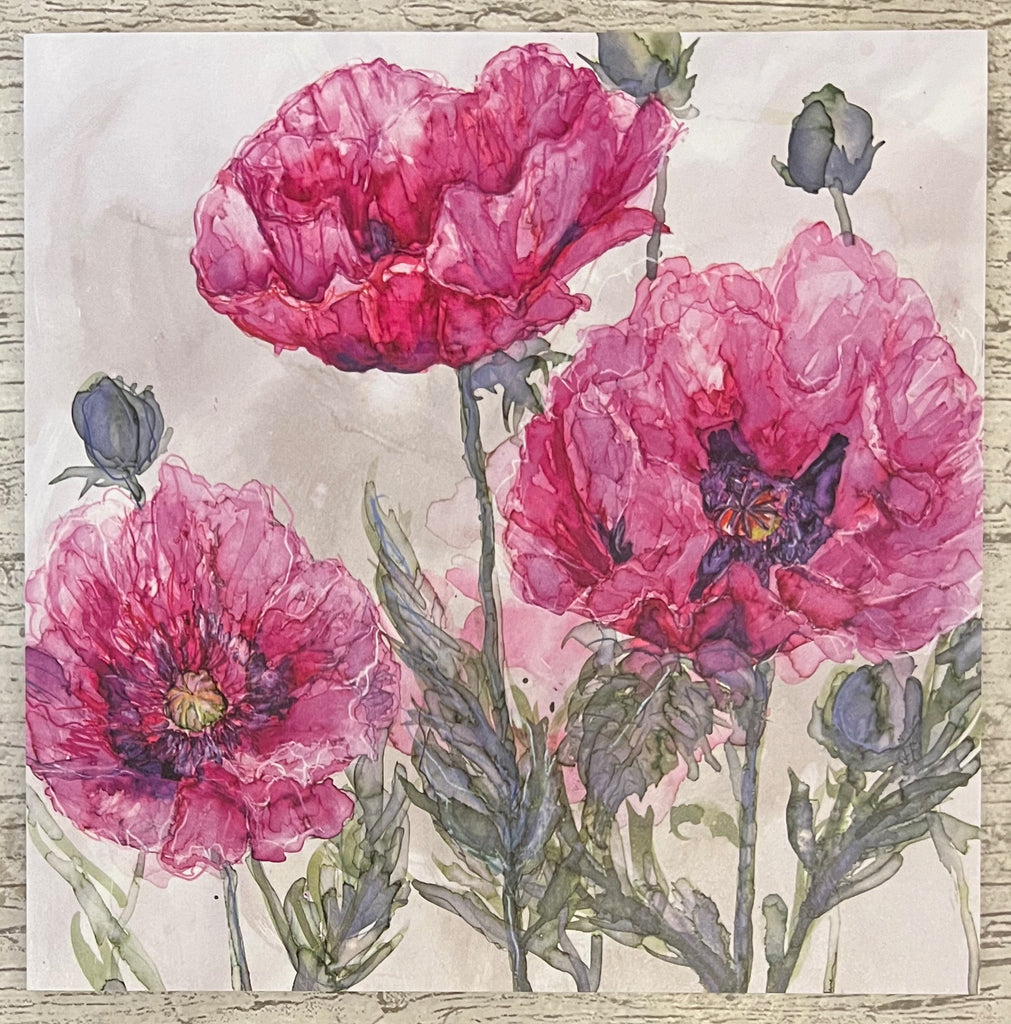 Pink Opium Poppies
