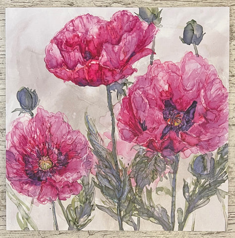 Pink Opium Poppies