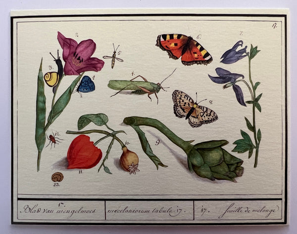 Insects