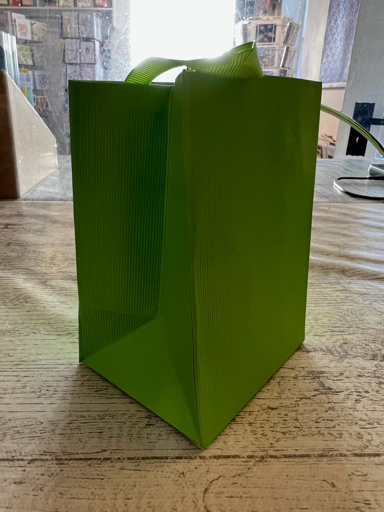 Light Green Mini Paper Gift Bag - ribbon handles