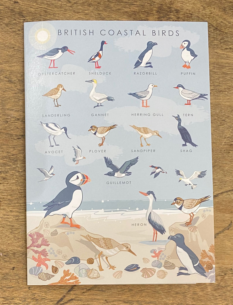 British Coastal Birds