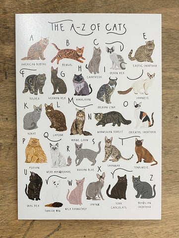 A-Z of Cats