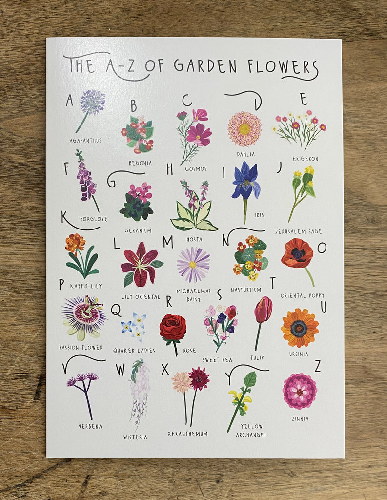 A-Z of Garden Flowers