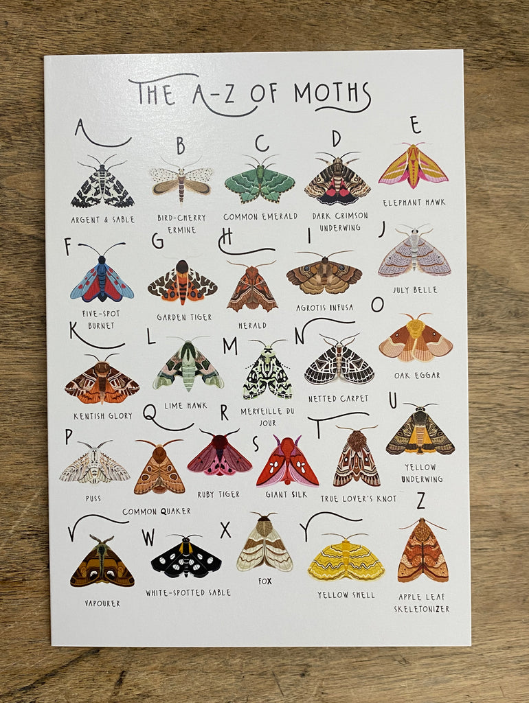 A-Z of Moths