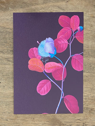 Blue Flower - Postcard
