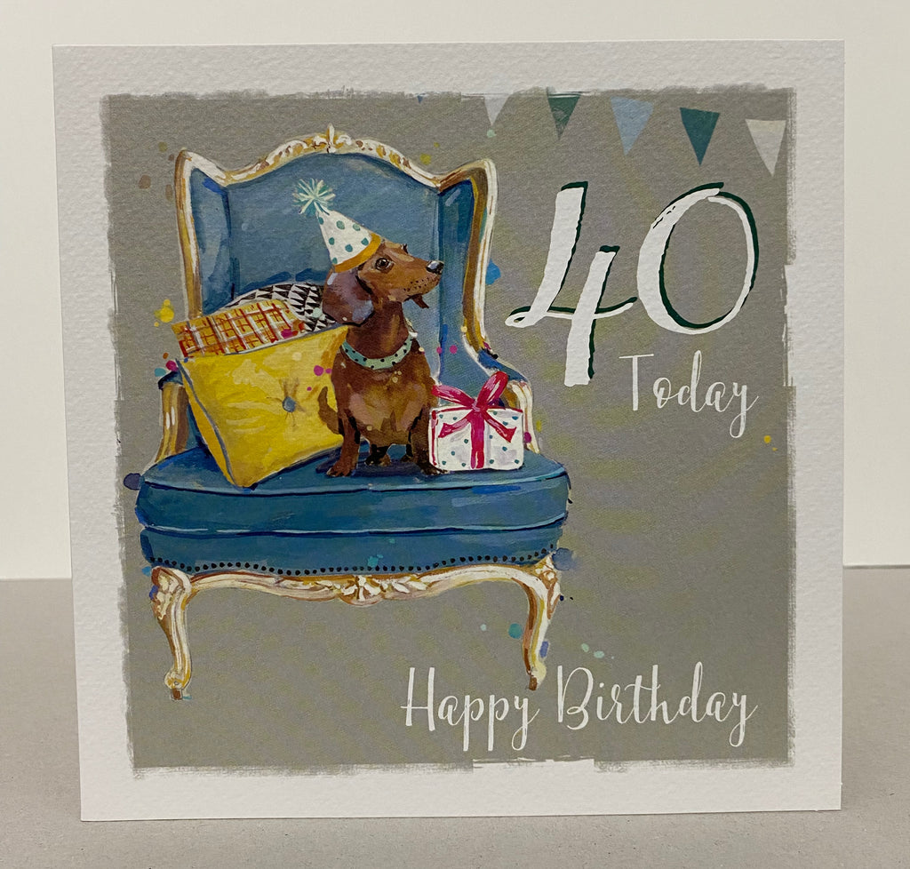 40 Today - Dogs
