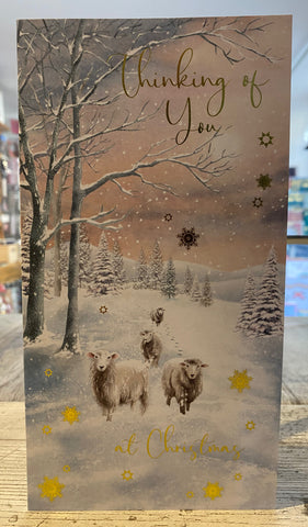 Thinking of You - Sheep