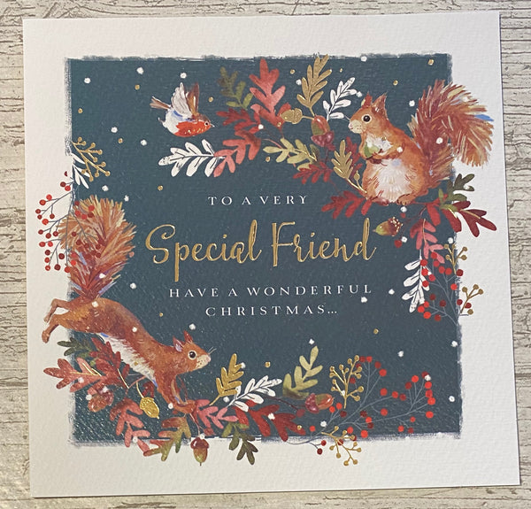 To A Very Special Friend