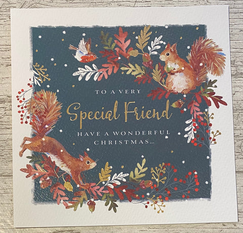 To A Very Special Friend