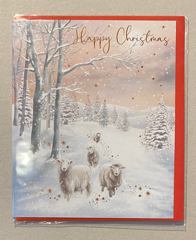 Happy Christmas - Sheep