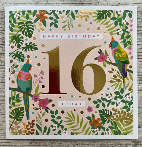 16 - Parrots