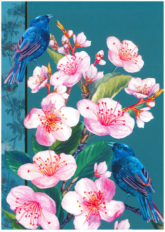 Blossom & Birds