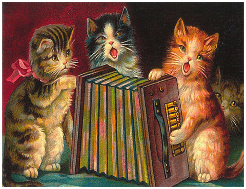 Singing Kittens