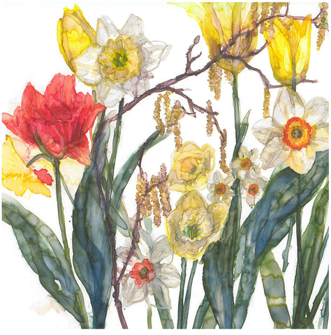 Daffodils and Catkins
