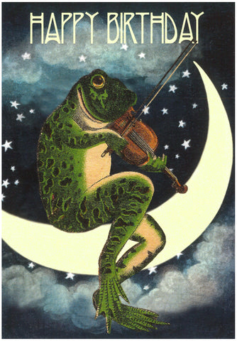 The Frog On The Moon