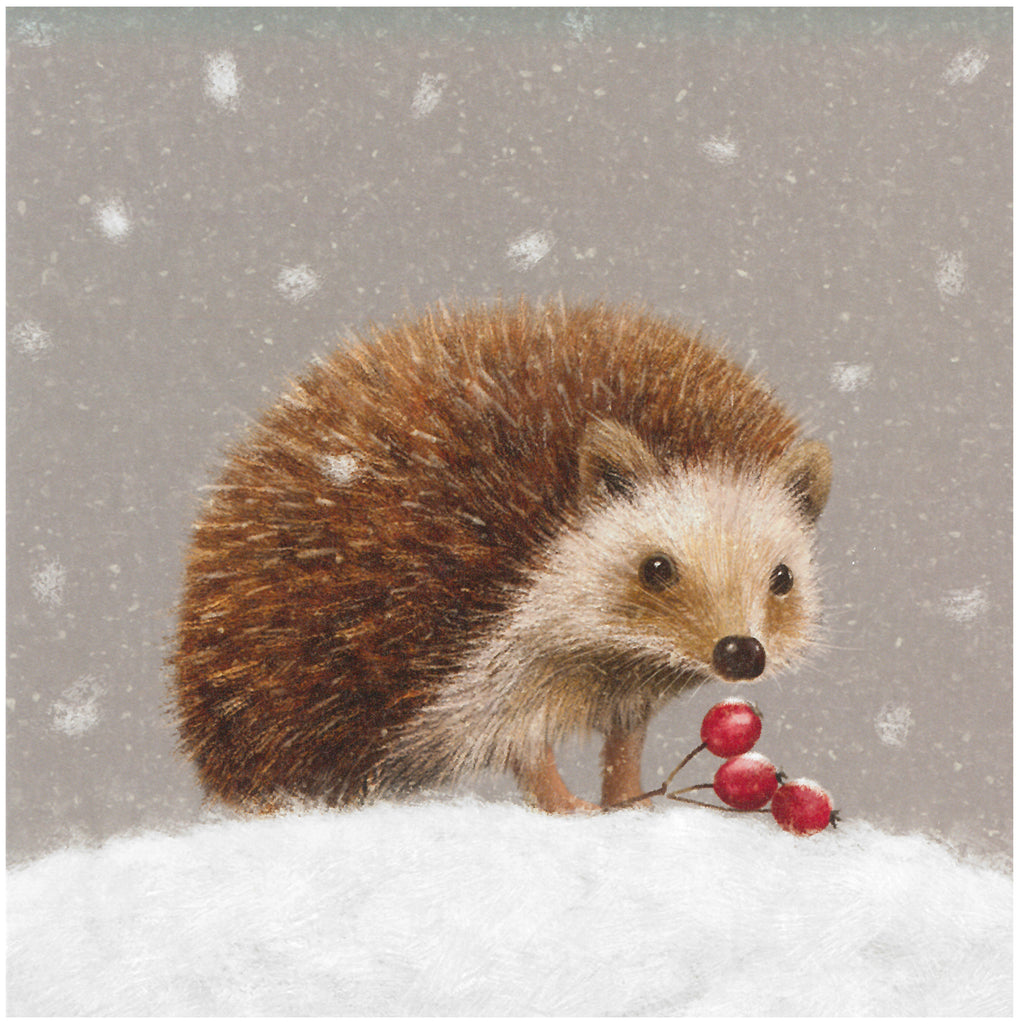 Hedgehog - Christmas