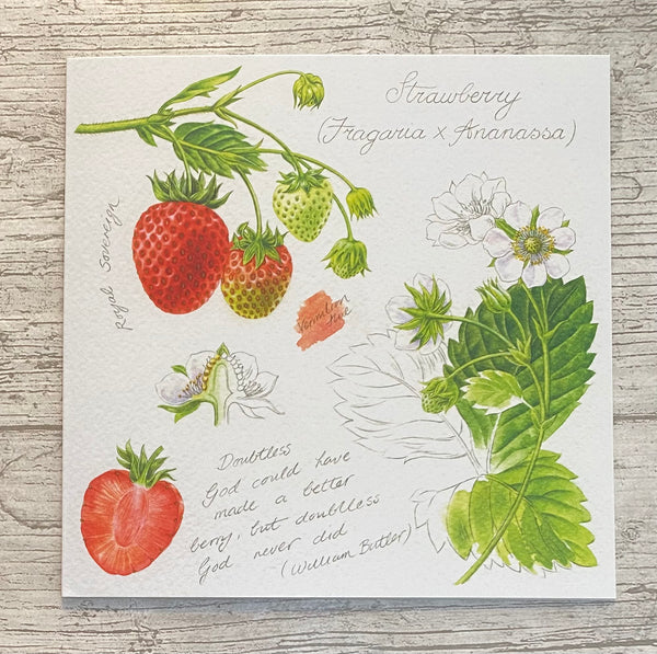 Fruit Art Cards