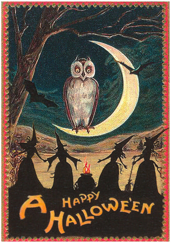 Halloween Owl