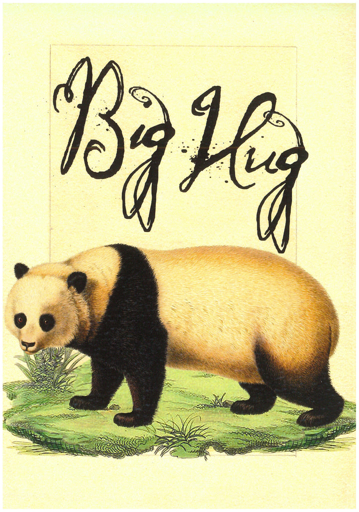 Bear Hug - Panda