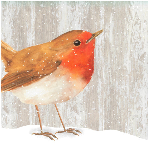 Robin - Christmas